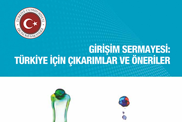 Girişim Sermayesi: Türkiye için Çıkarımlar ve Öneriler