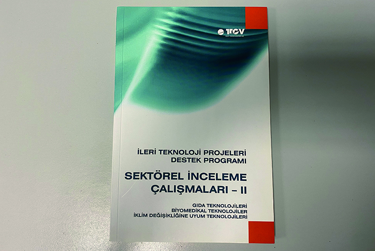 Sektörel İnceleme Çalışmaları - II