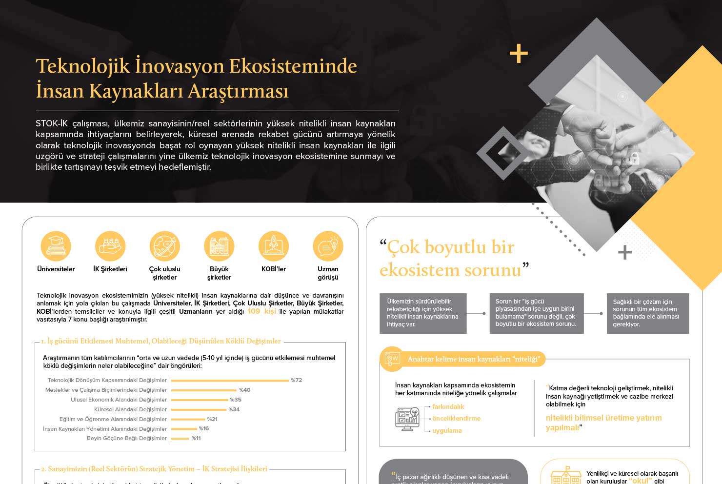 Teknolojik İnovasyon Ekosisteminde İnsan Kaynakları Araştırması - İnfografik Özet