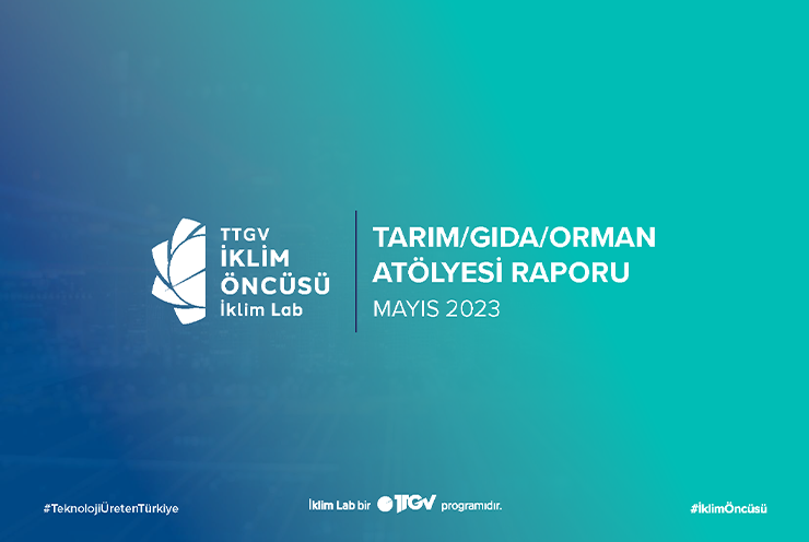 İklim Lab: Tarım / Gıda / Orman Atölyesi Raporu